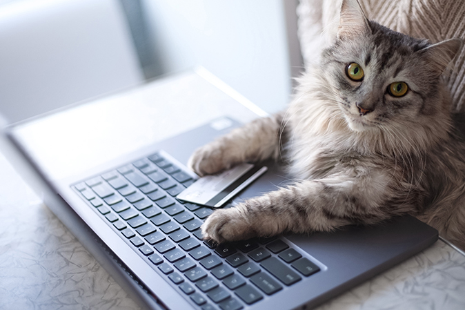 How to Fix a Closed Credit Card Account 