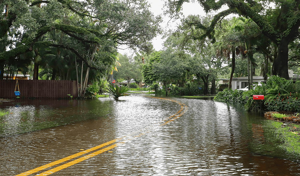 2021 Hurricane Preparedness Tips 